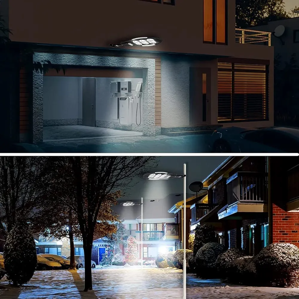 WhatsApp Image 2026-01-29 at 12.06.13 PM (2).webp