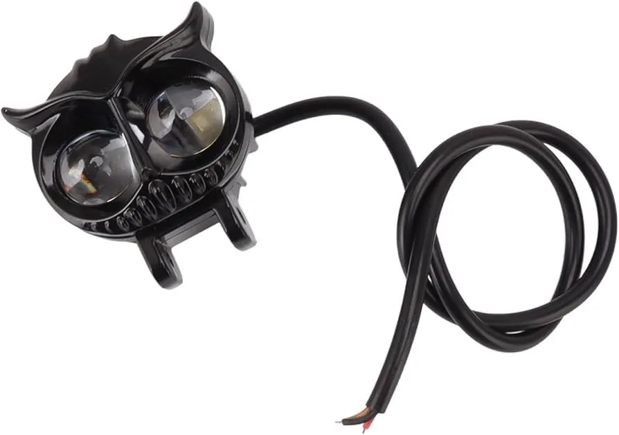 WhatsApp Image 2026-01-31 at 10.03.40 AM (1).webp