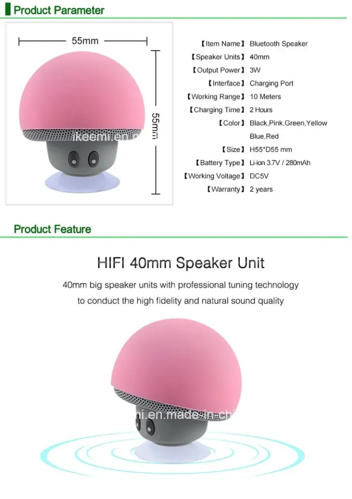 WhatsApp Image 2026-01-31 at 11.01.23 AM.webp