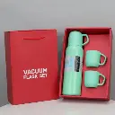 Set de termos vacum flask