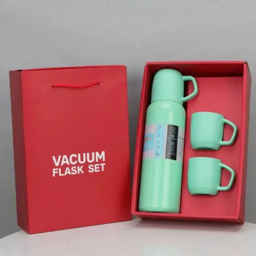 Set de termos vacum flask